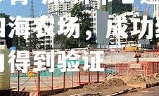 米兰体育-深圳布心逆袭黑龙江四海农场，成功绝杀对手实力得到验证