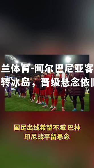 阿尔巴尼亚客场逆转冰岛，晋级悬念依旧