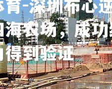 深圳布心逆袭黑龙江四海农场，成功绝杀对手实力得到验证